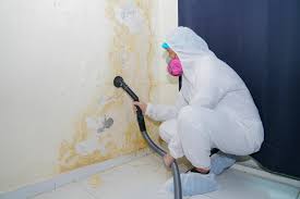 Best Real Estate Mold Inspection  in Browns Lake, WI